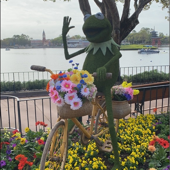 🙋🏻 Posh Ambassador - Picture 1 of 17